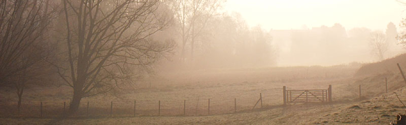 Champs à proximité du bois de Buysdelle